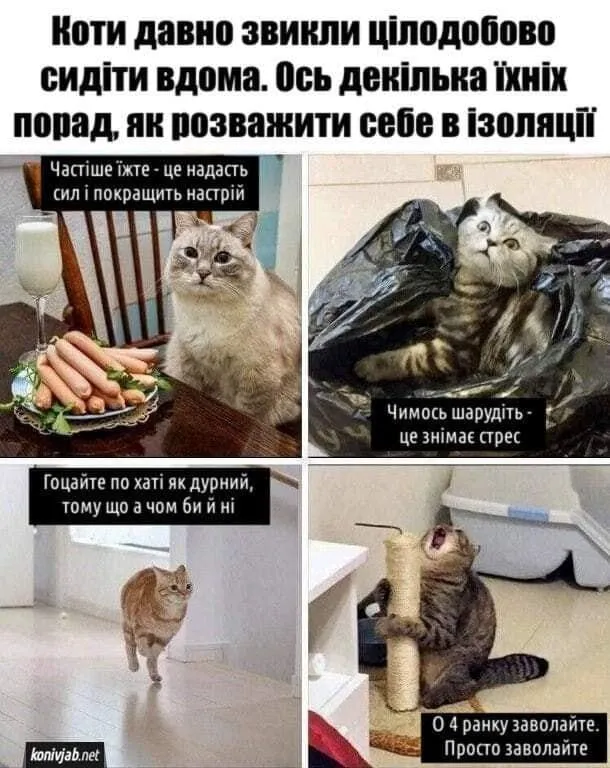 Анекдоты дня: лучшие шутки и мемы за 23 ноября