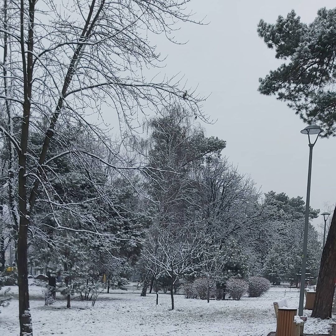 Парк Киото в Киеве укрылся снегом