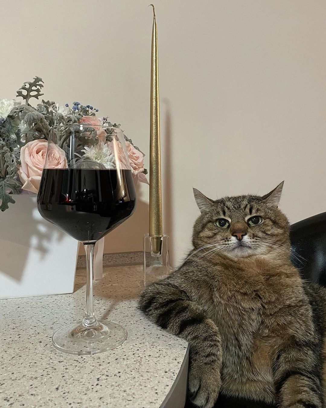 Кот Степан с бокалом вина.