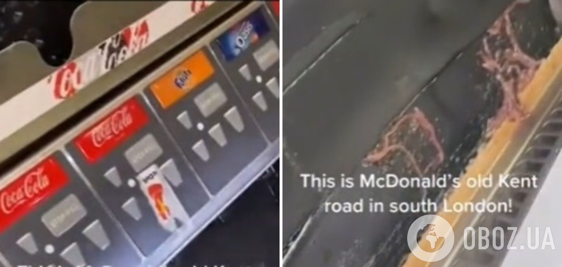 Хробаки в автоматі з напоями у McDonald's.