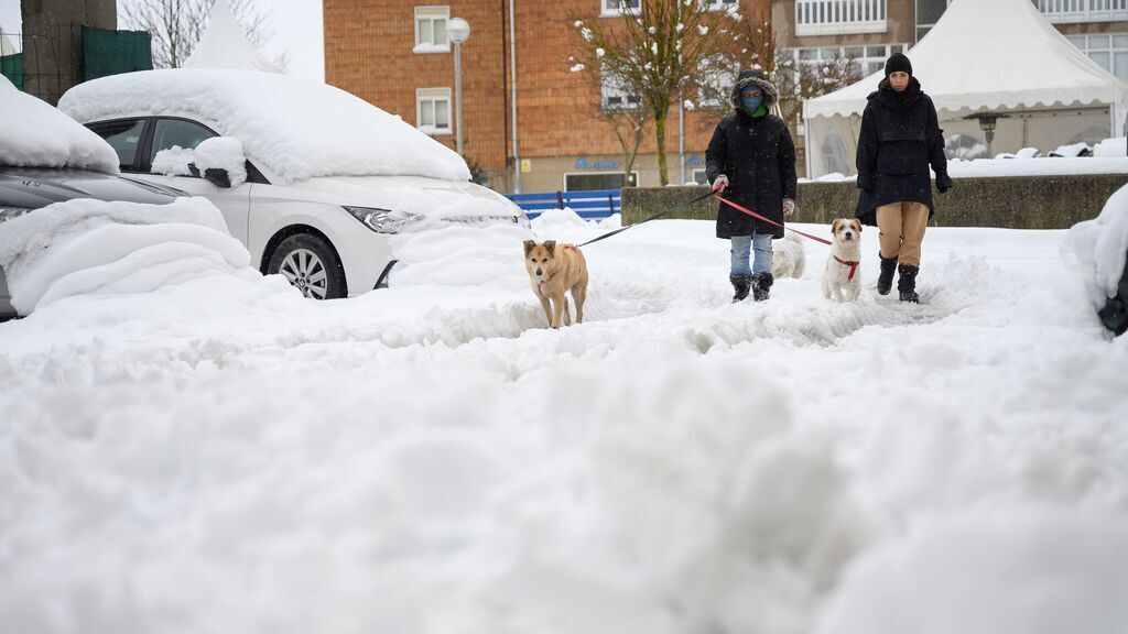Люди выгуливают собак в сугробах снега