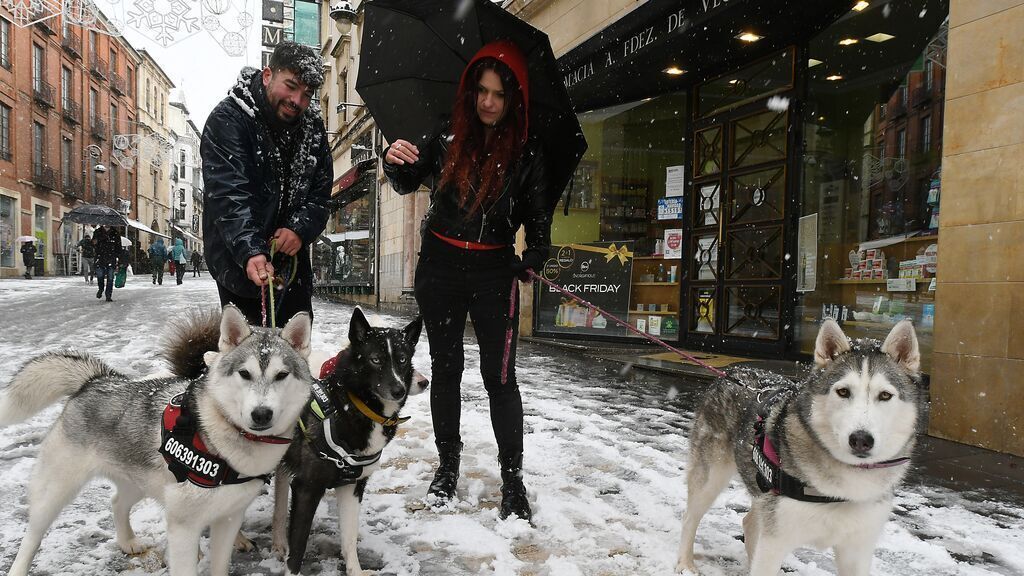 Испанцы гуляют со своими собаками под сильным снегопадом