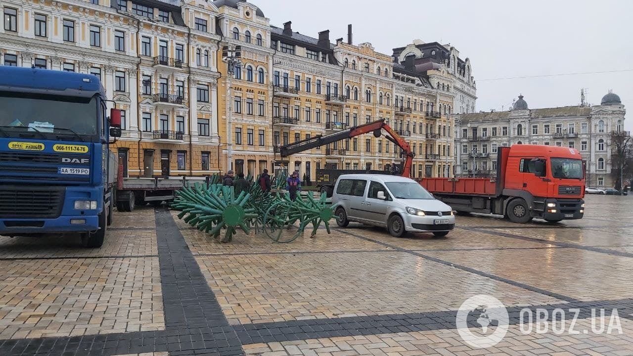 Высота дерева составит 31 метр.