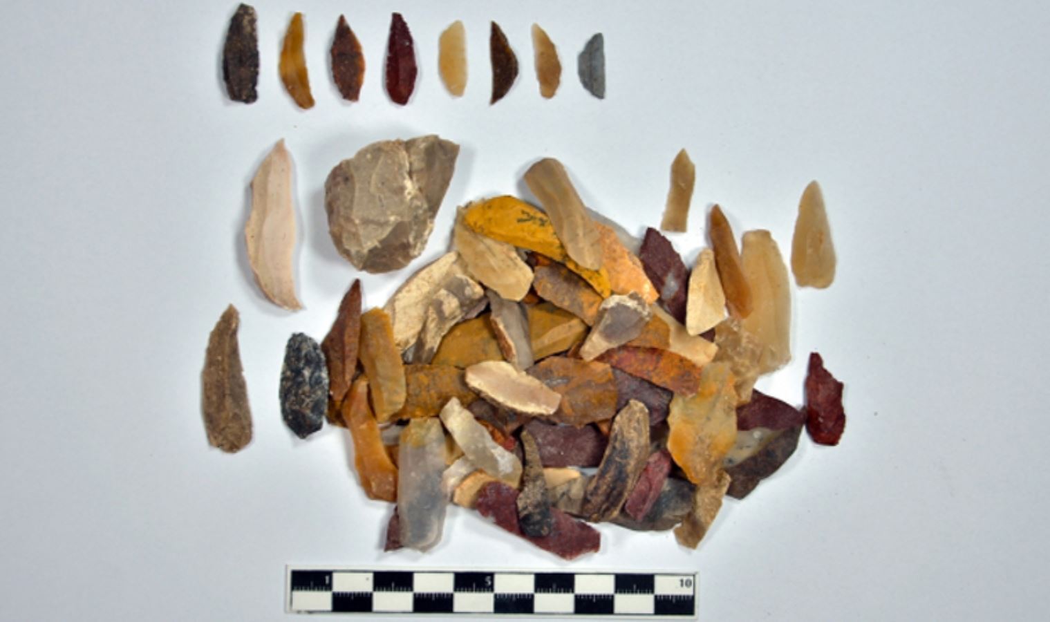 На месте раскопок найдены остатки орудий труда и кости.