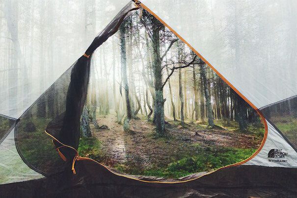 Из палатки открывается потрясающий вид на лес