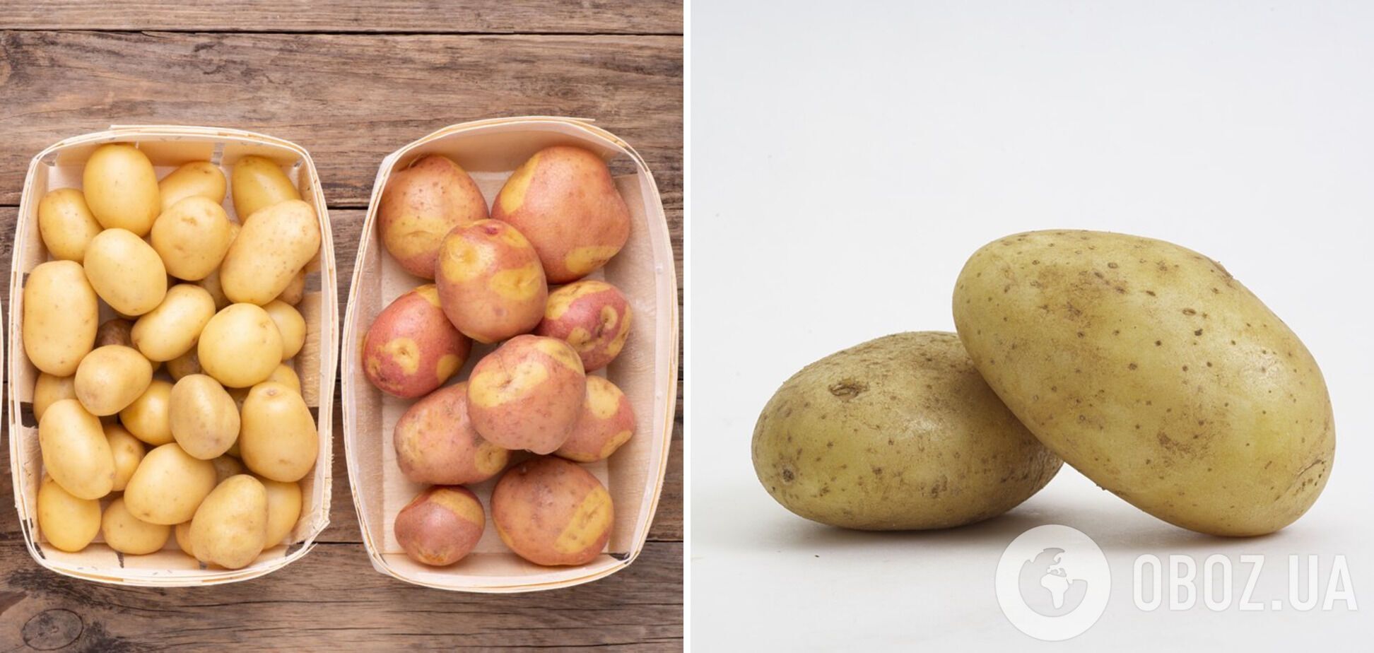 Правила зберігання картоплі