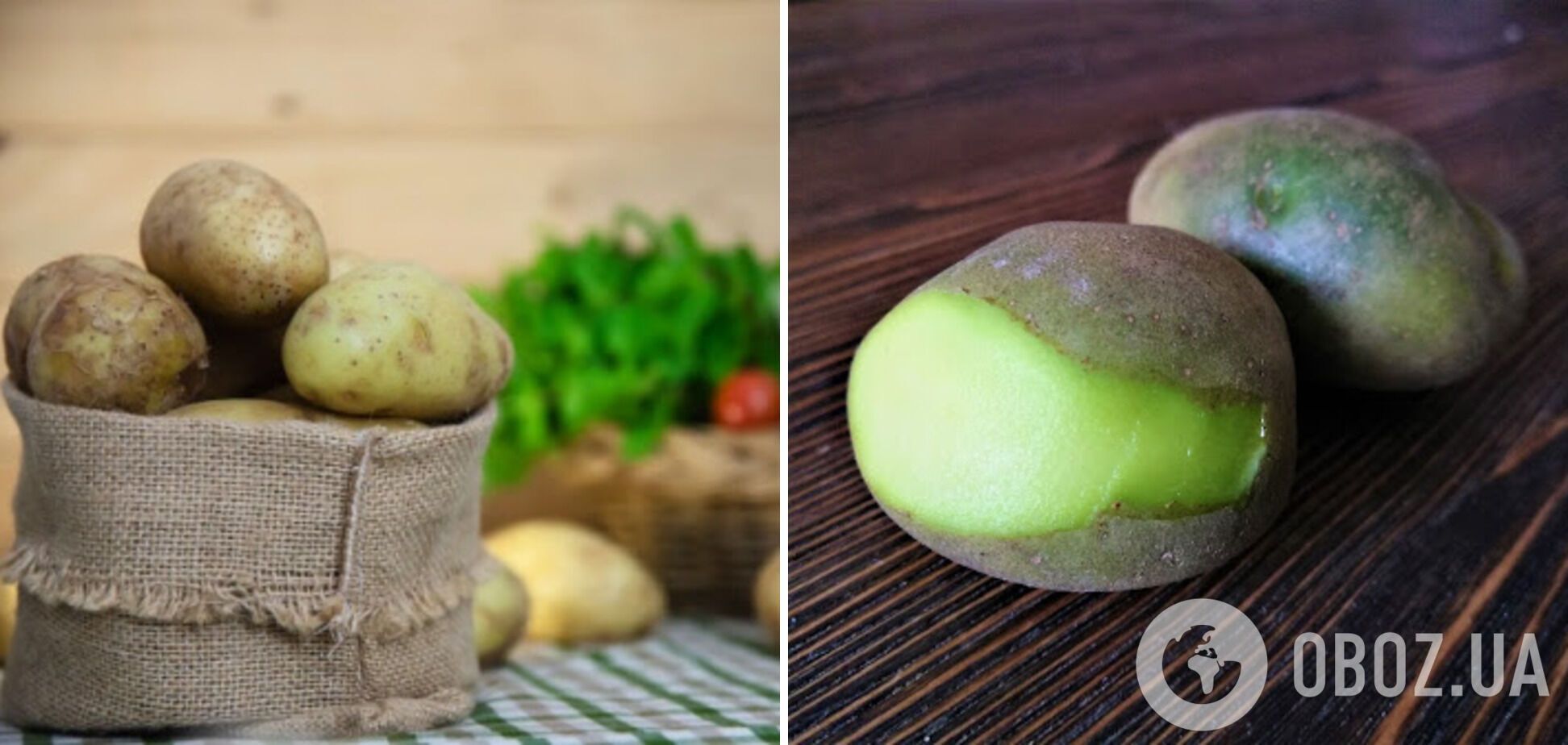 Якщо місце для зберігання картоплі буде недостатньо темним і холодним – картопля може стати зеленою