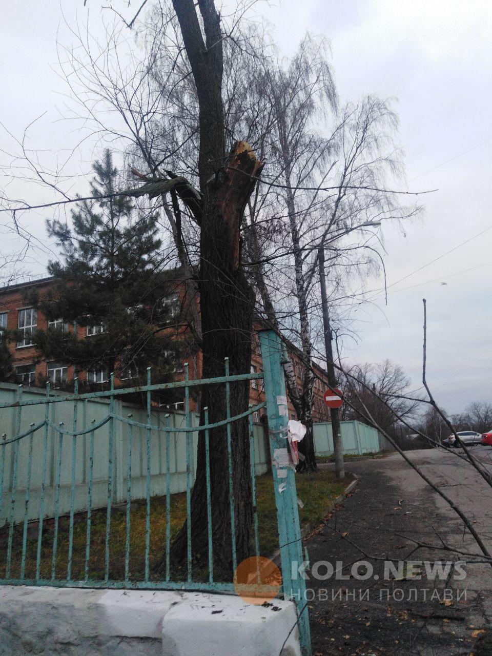 Зламане дерево по вулиці Монастирській
