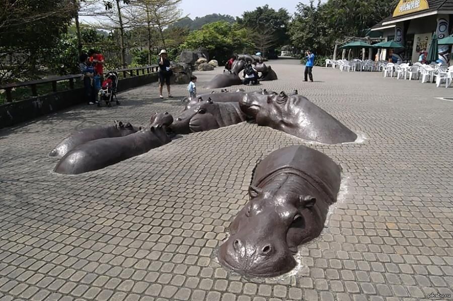 Скульптура плавающих бегемотов.