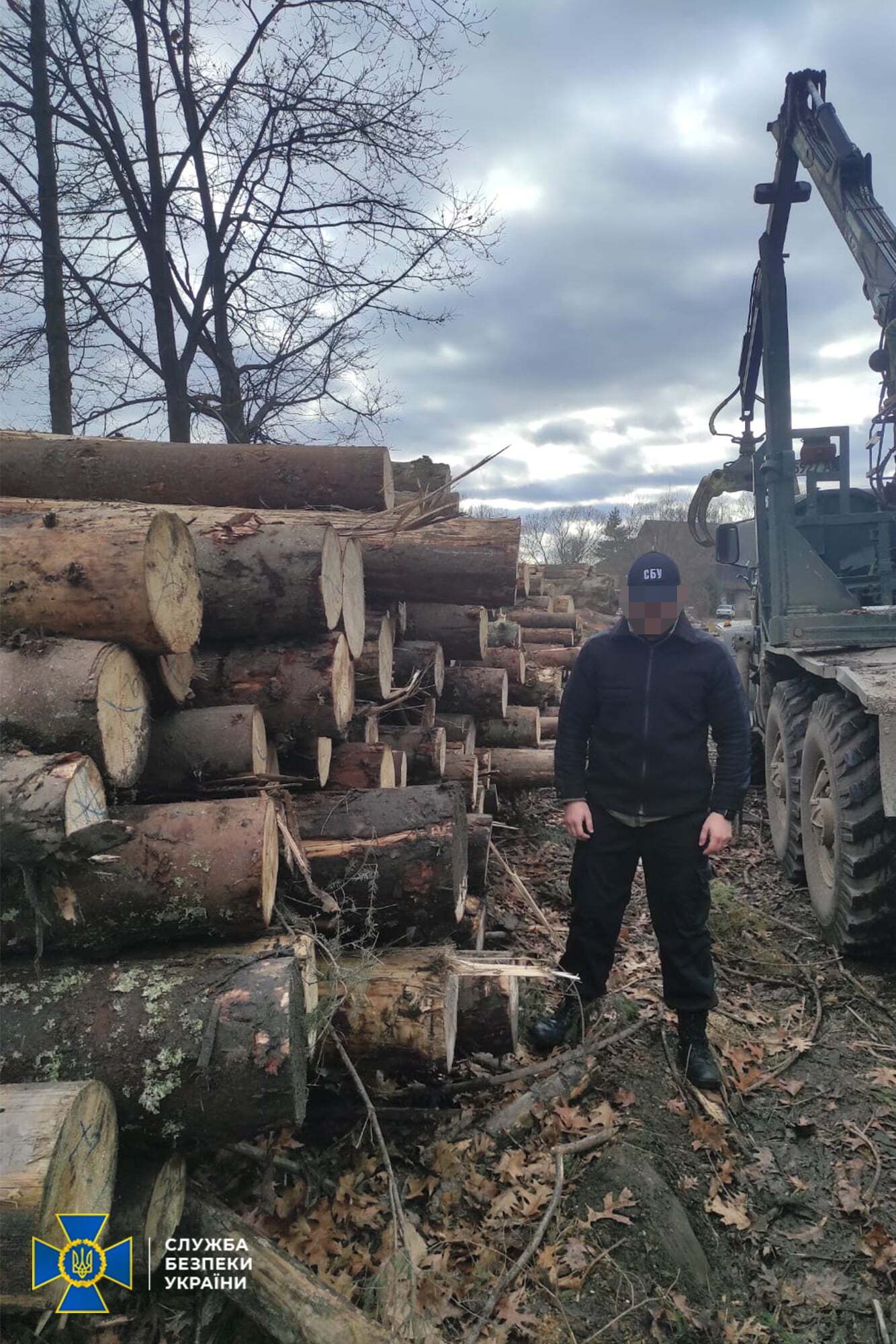 На Прикарпатье действовала масштабная схема контрабанды леса