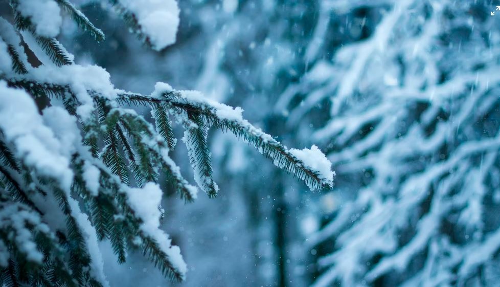 На Новый год и Рождество снег в Украине маловероятен