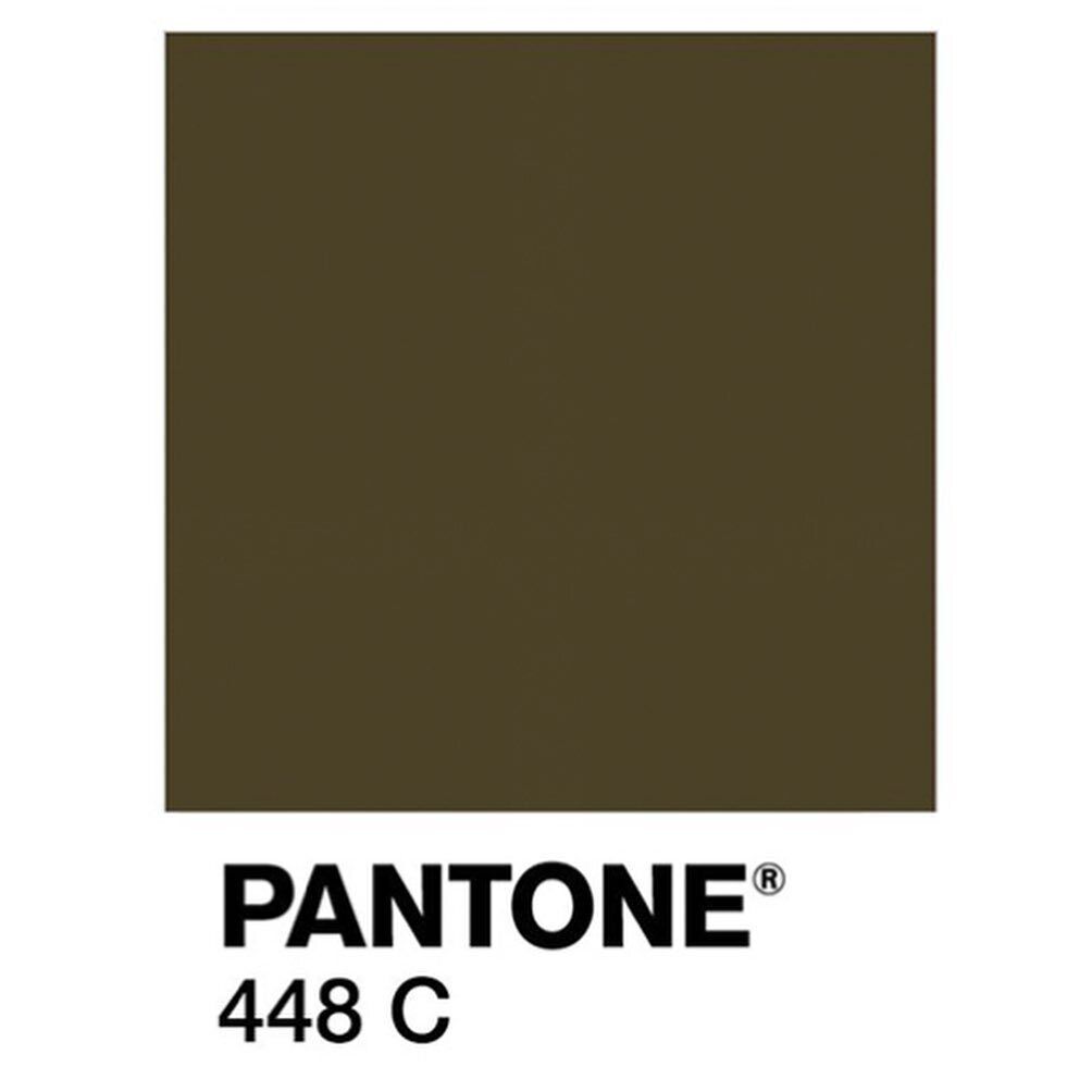 Цвет Pantone 448 C
