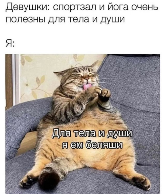 Мем з котом