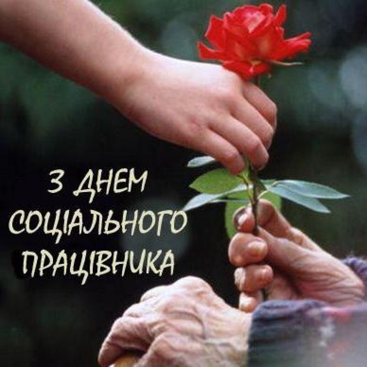 Картинка в День социального работника Украины