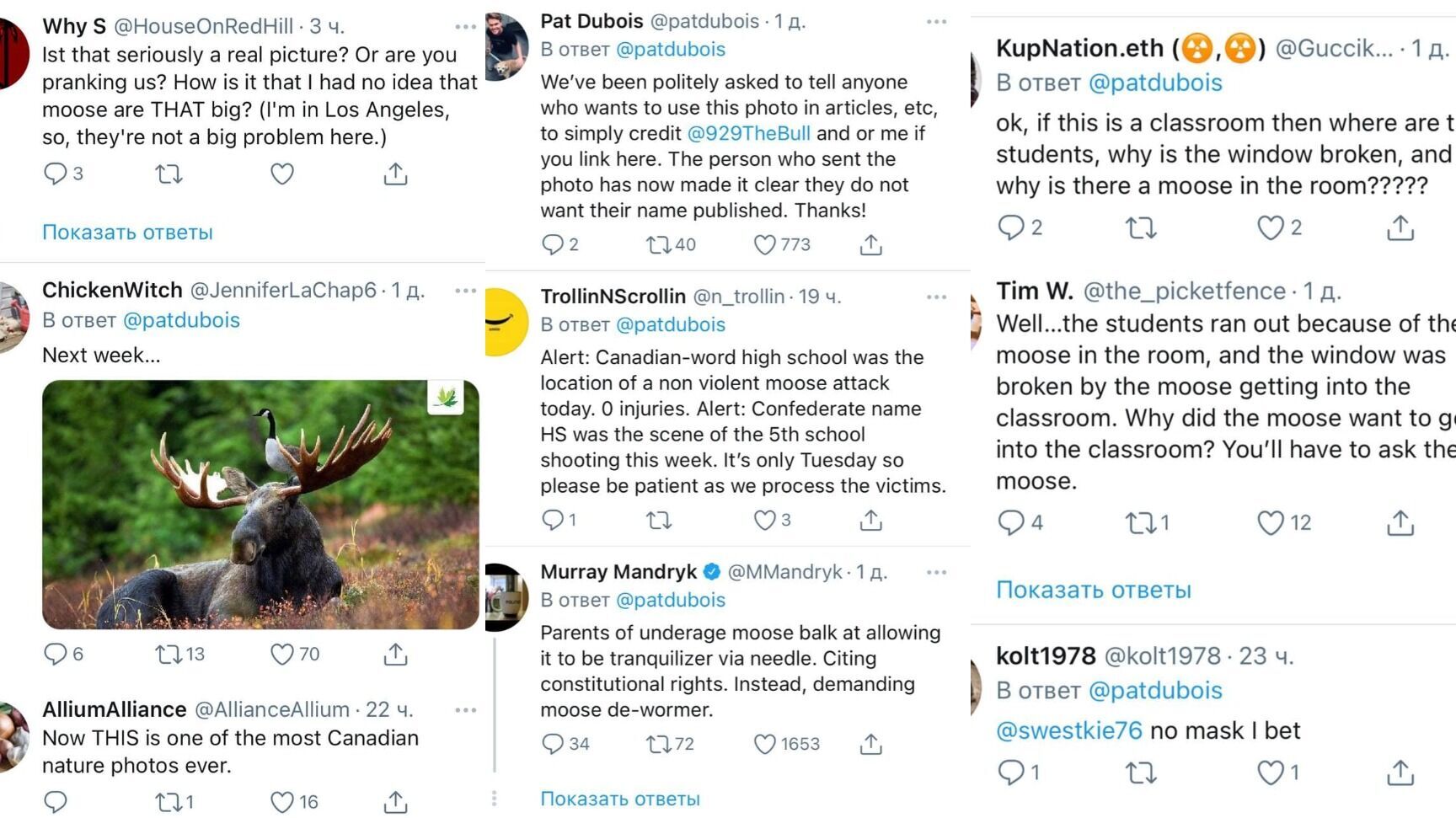 Подписчики Пэта отреагировали на фото.