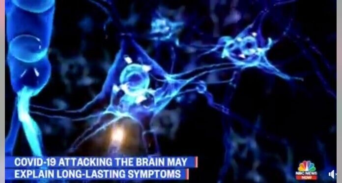 Вирус способен добраться до нескольких областей мозга
