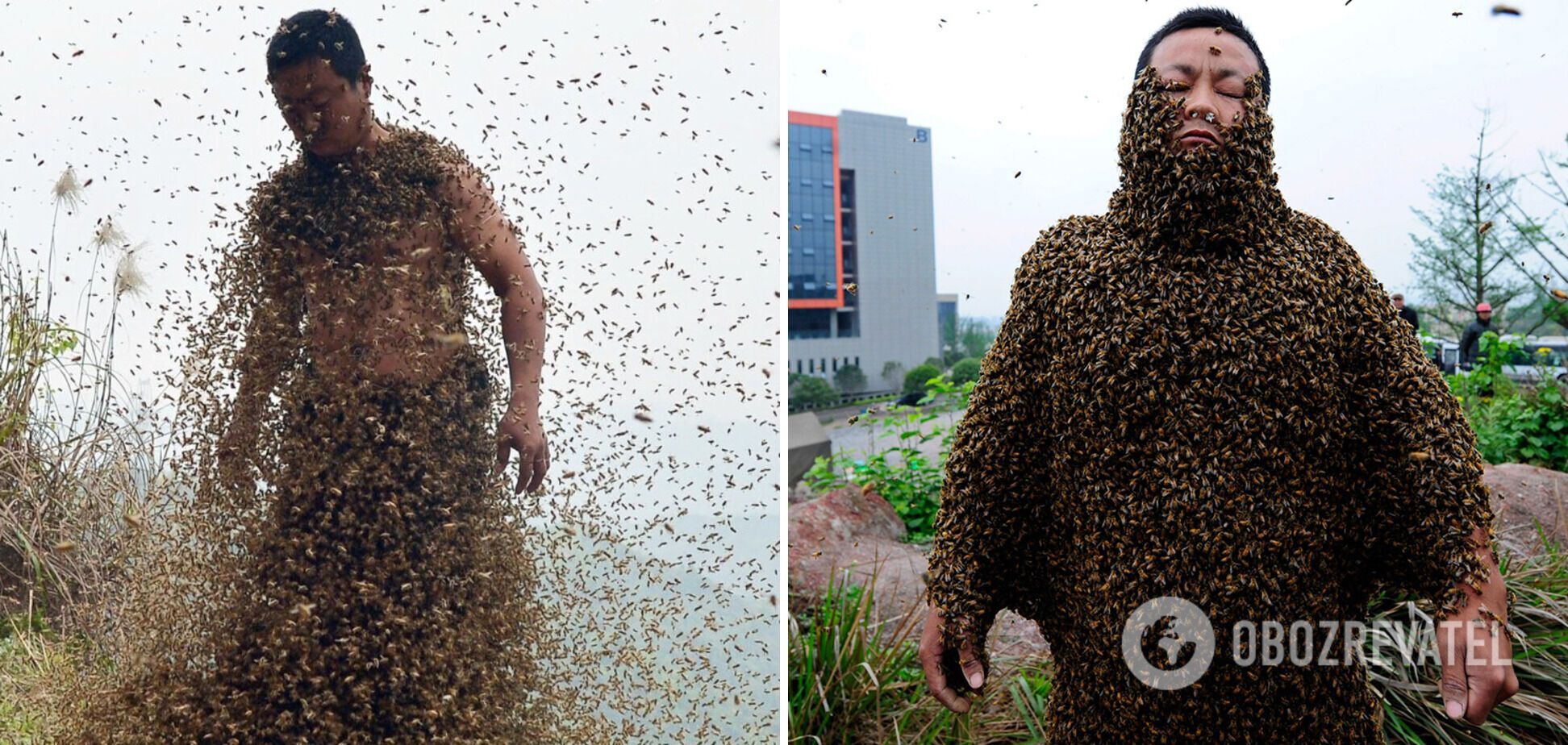 Бджоляр висадив на себе сотні тисяч бджіл