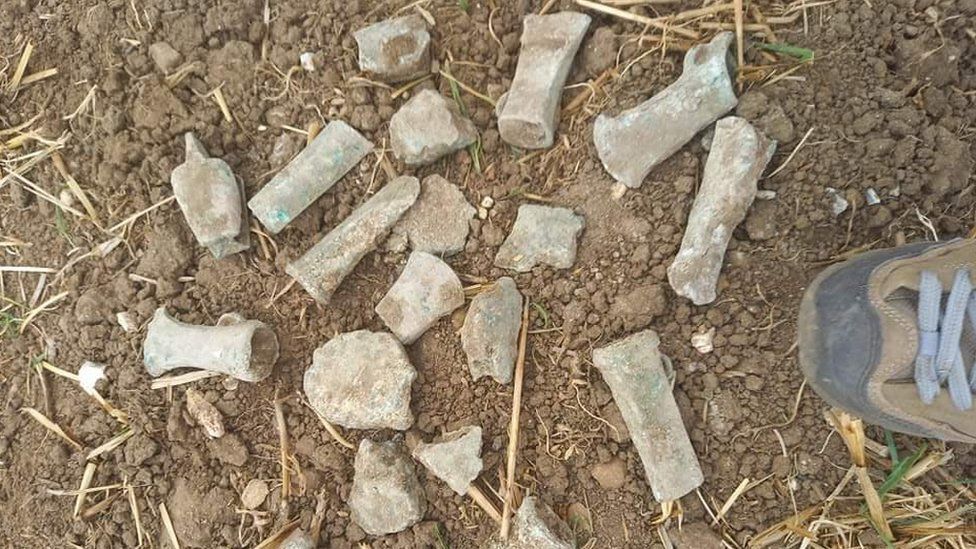 Школярка розкопала 65 старовинних кам'яних лез для сокир.