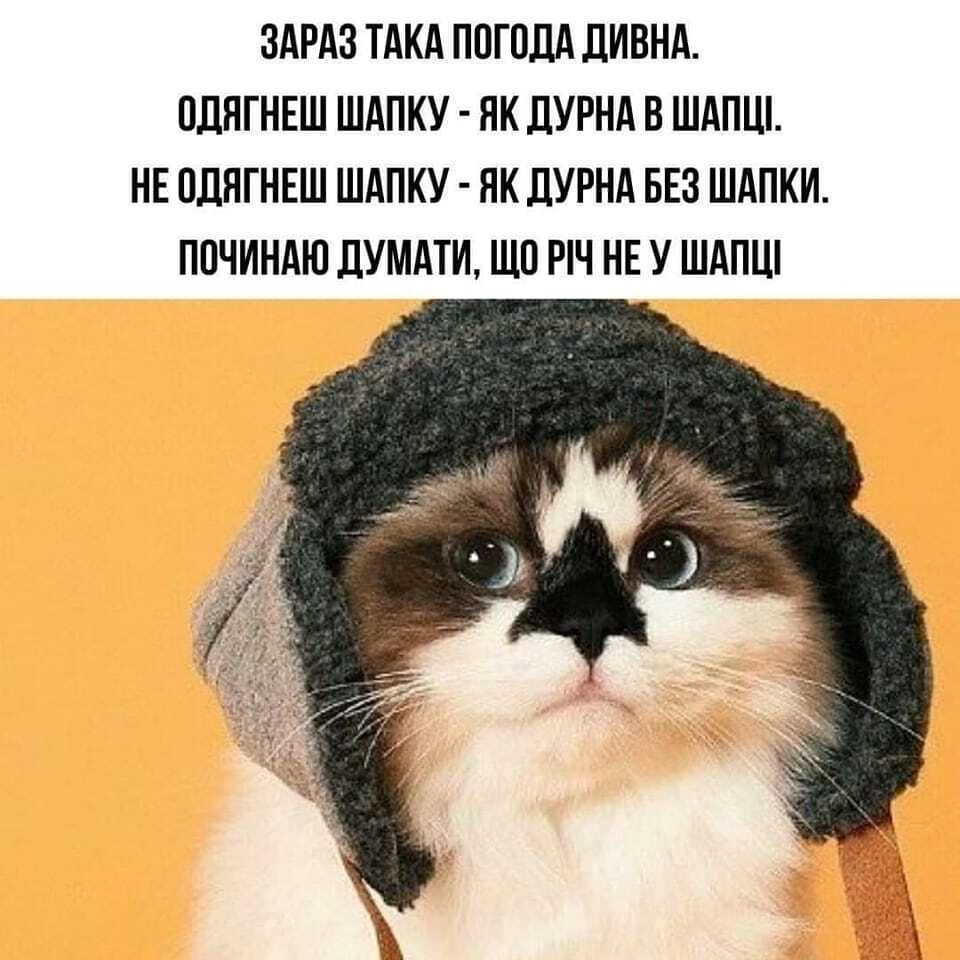 Мем про зиму