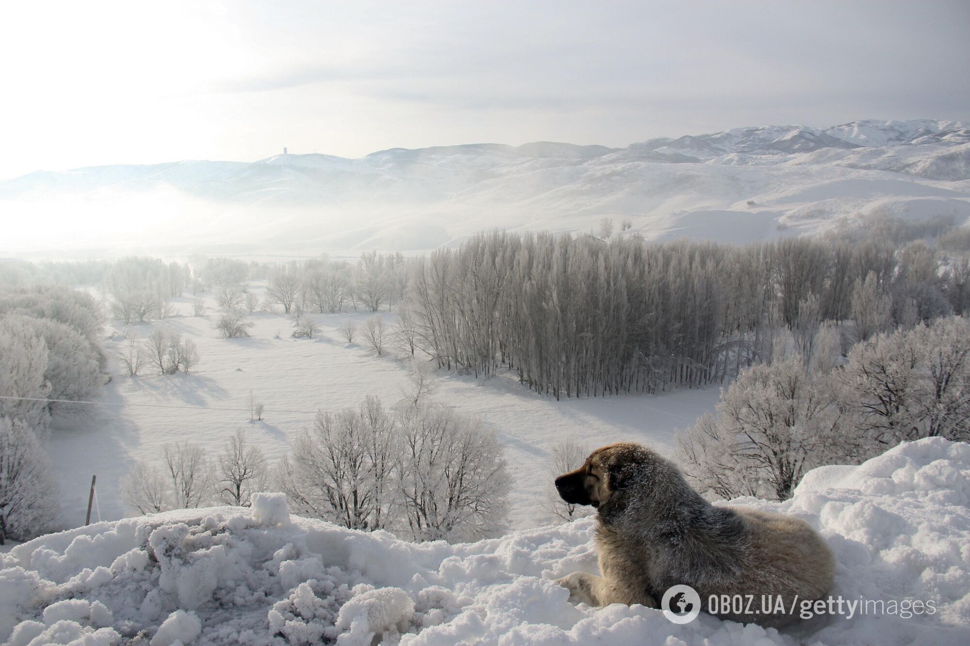 На следующей неделе в Украину может прийти настоящая зима.