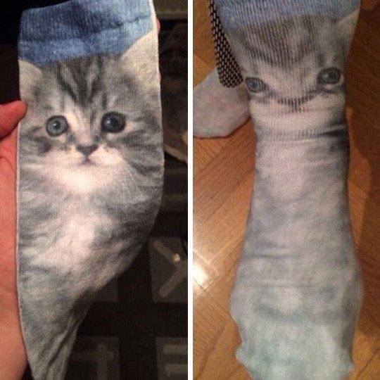 Дивні шкарпетки з принтом кота