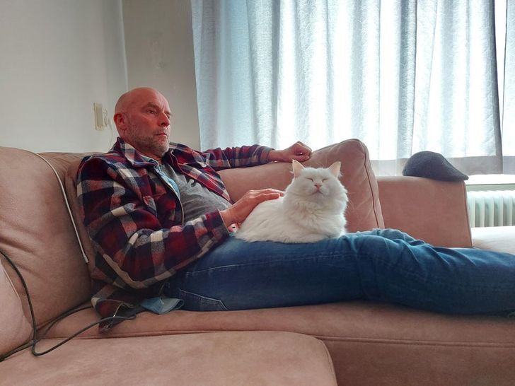 Білий кіт відпочиває на руках у господаря.