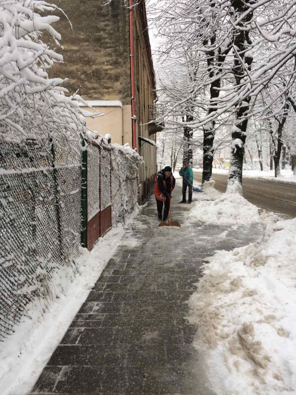 Жителей Львова призвали воздержаться от прогулок