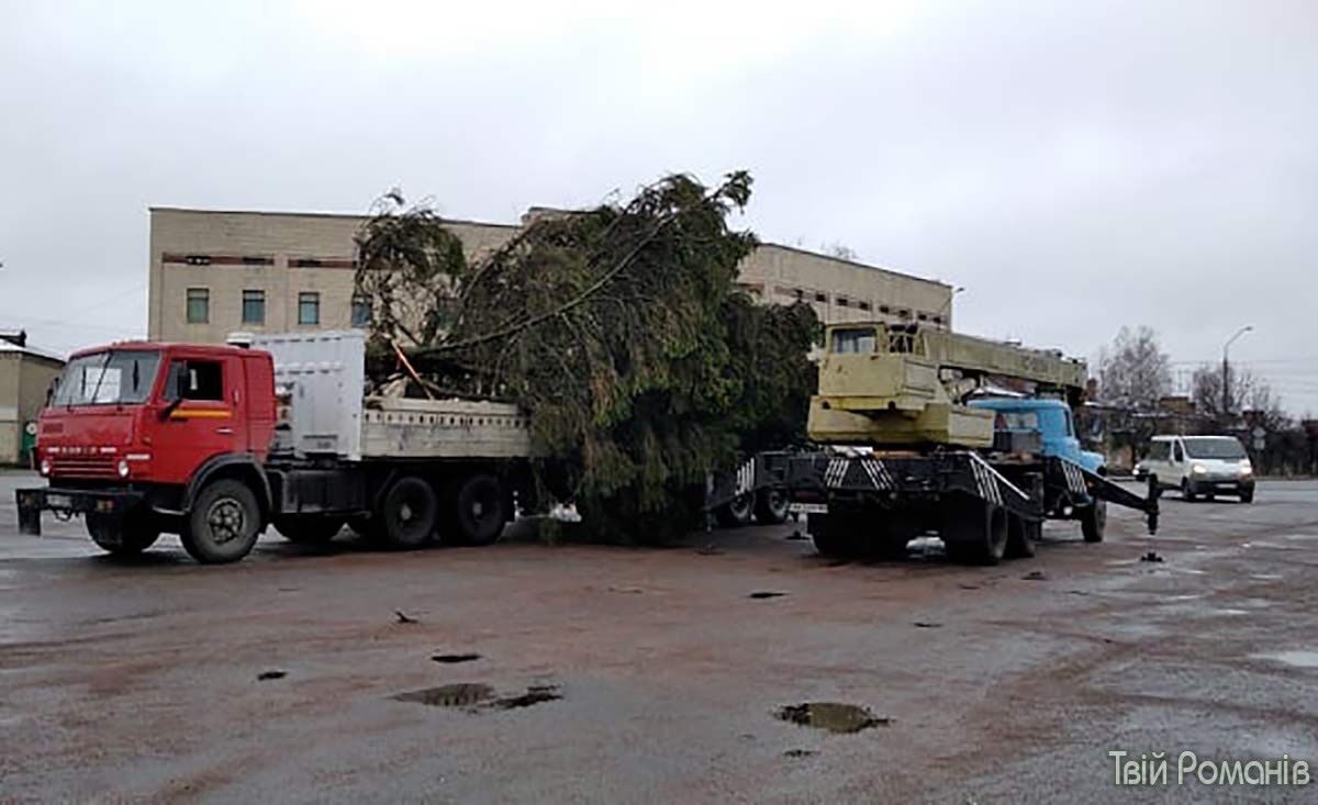 Залишки дерева забрали на вантажівках