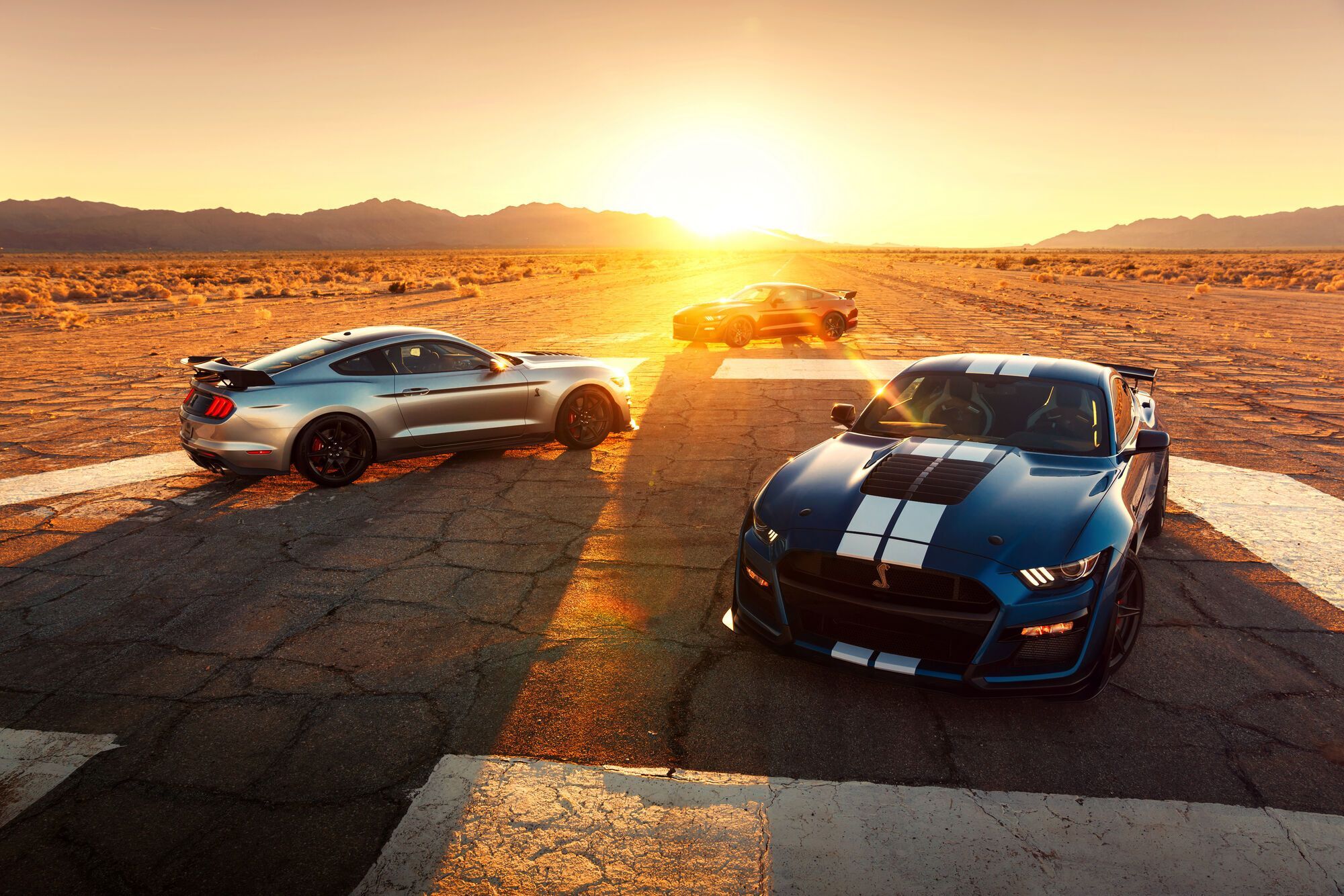 Угнать за 60 секунд: четыре новых Mustang Shelby GT500 исчезли с завода Ford