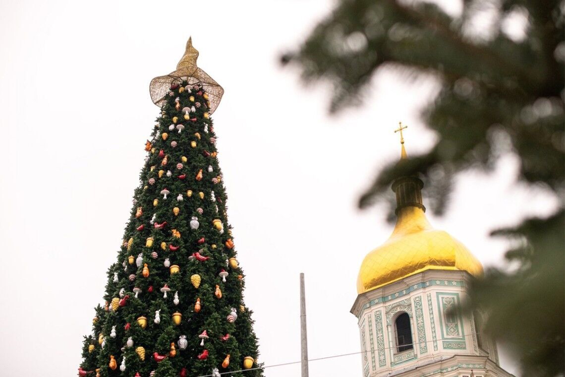 В Киеве украсили елку шляпой
