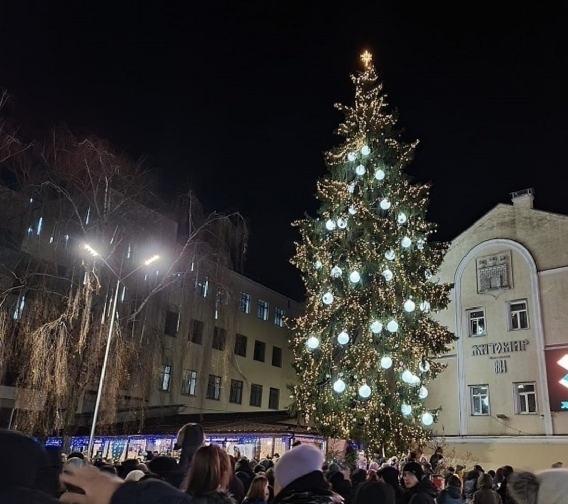 В Житомире зажгли елку