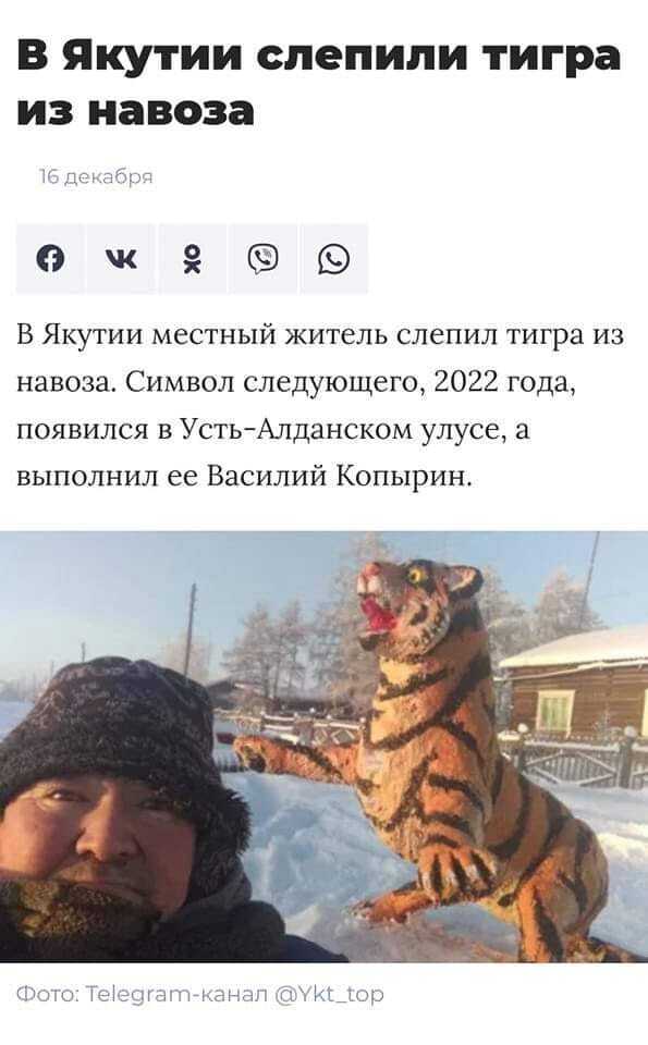 В Якутии слепили тигра из навоза