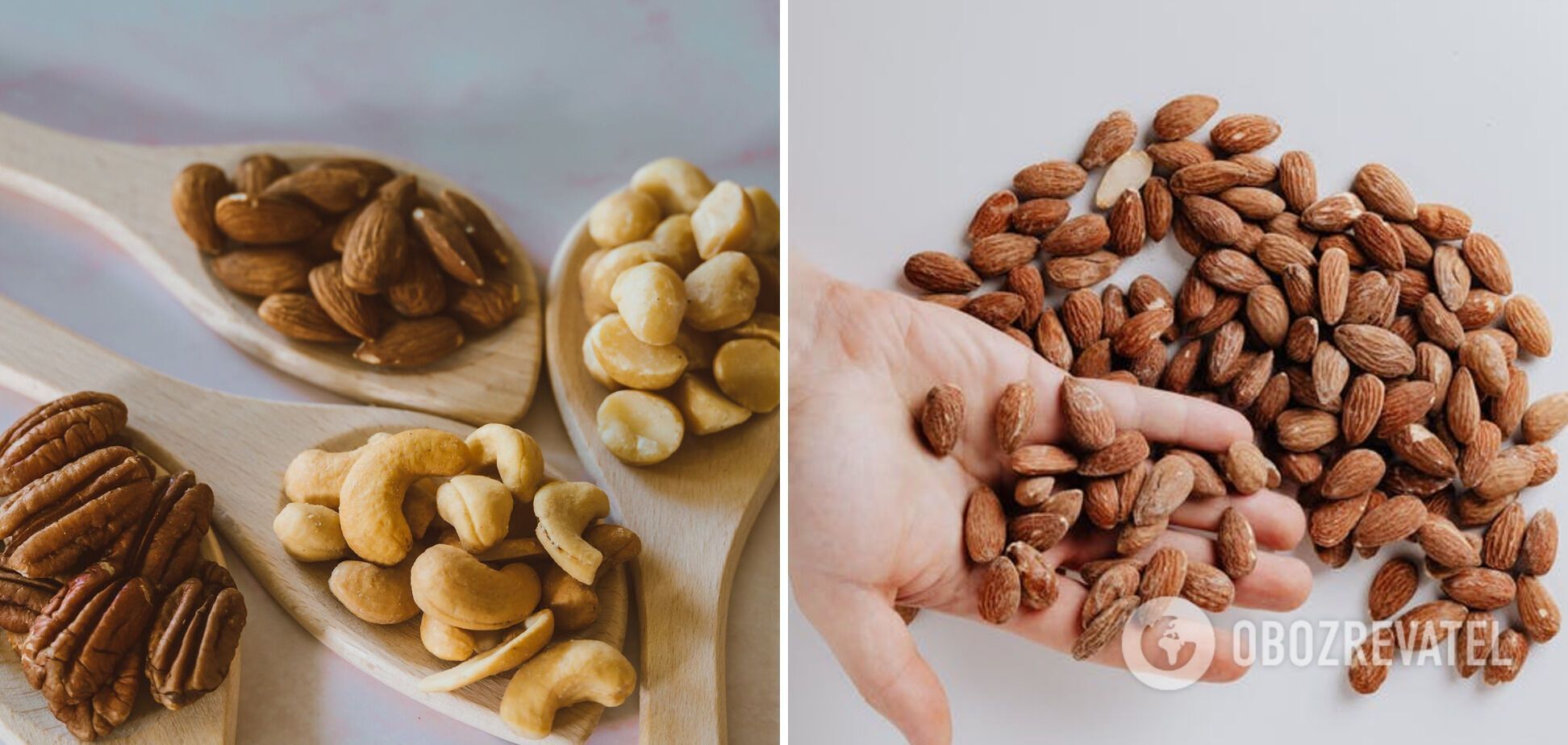 Орехи – источник энергии и витаминов