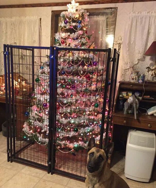 Собака нападала на новогоднее дерево