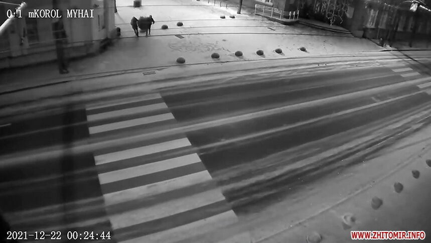 В Житомире за два дня разграбили новогоднюю фотозону и украли елку: воры попали на видео