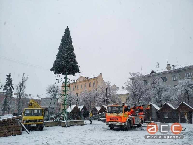 Как устанавливали елку в Черновцах