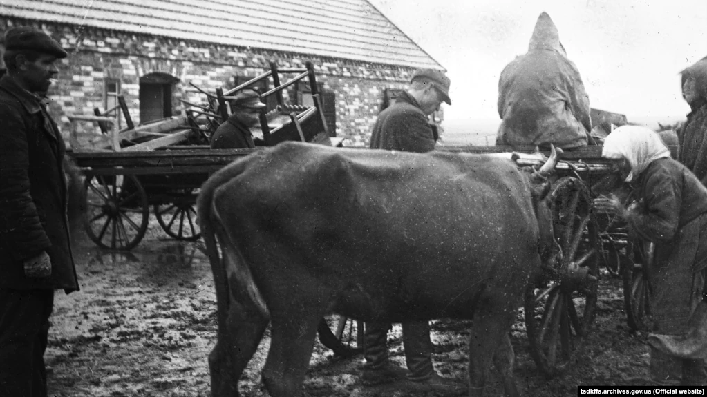 Раскулачивание селянина Емца в селе Донецкой области, 1930 год