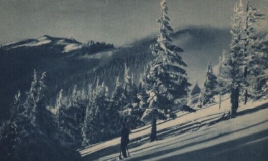 Снежные Карпаты 1938 года