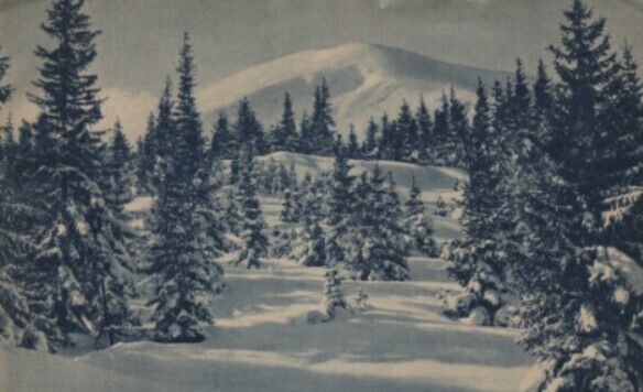 Карпаты зимой 1938 года