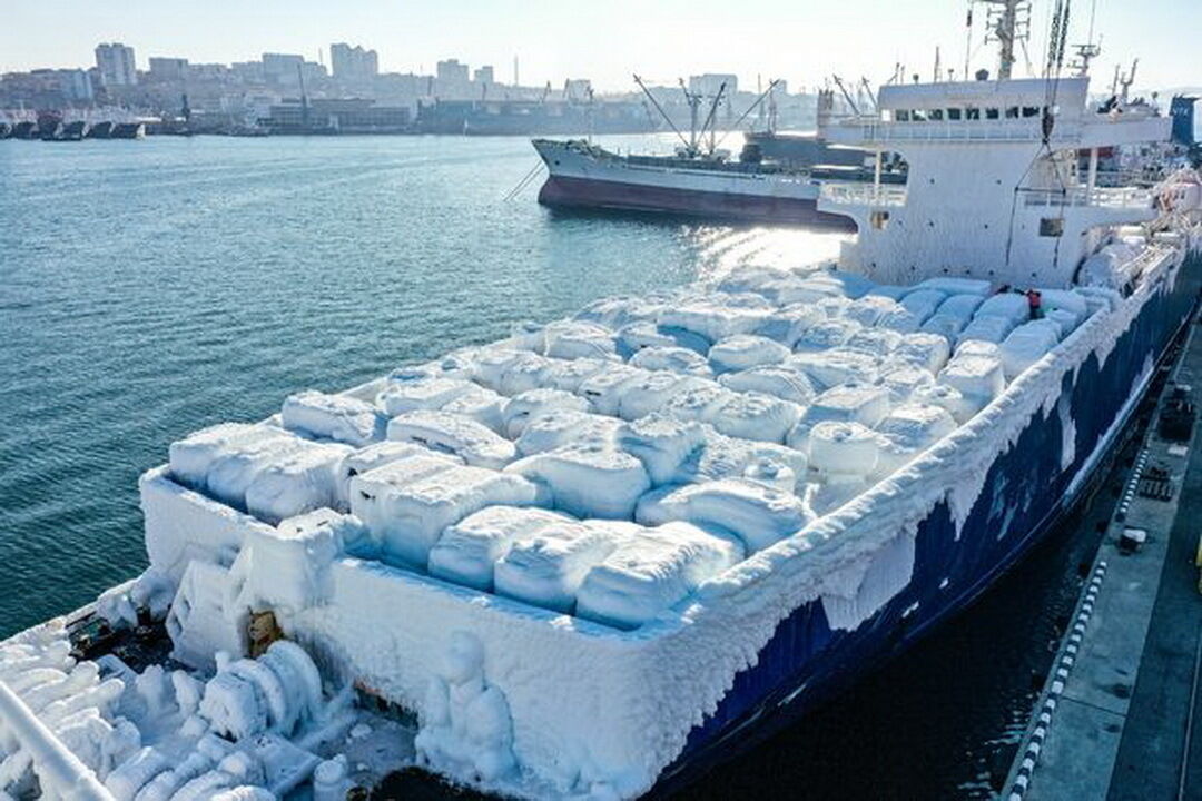 Автомобили, прибывшие в порт на борту грузового перевозчика Sun Rio Ro-Ro были покрыты льдом толщиной до 15 см. дюймов