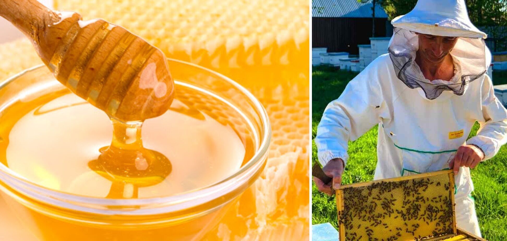 В 2021 году в Украине стремительно выросли цены на мед