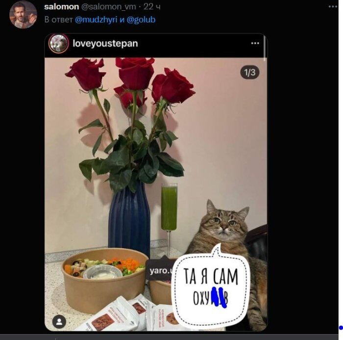 Фоловери створили меми про скандал із котом Степаном