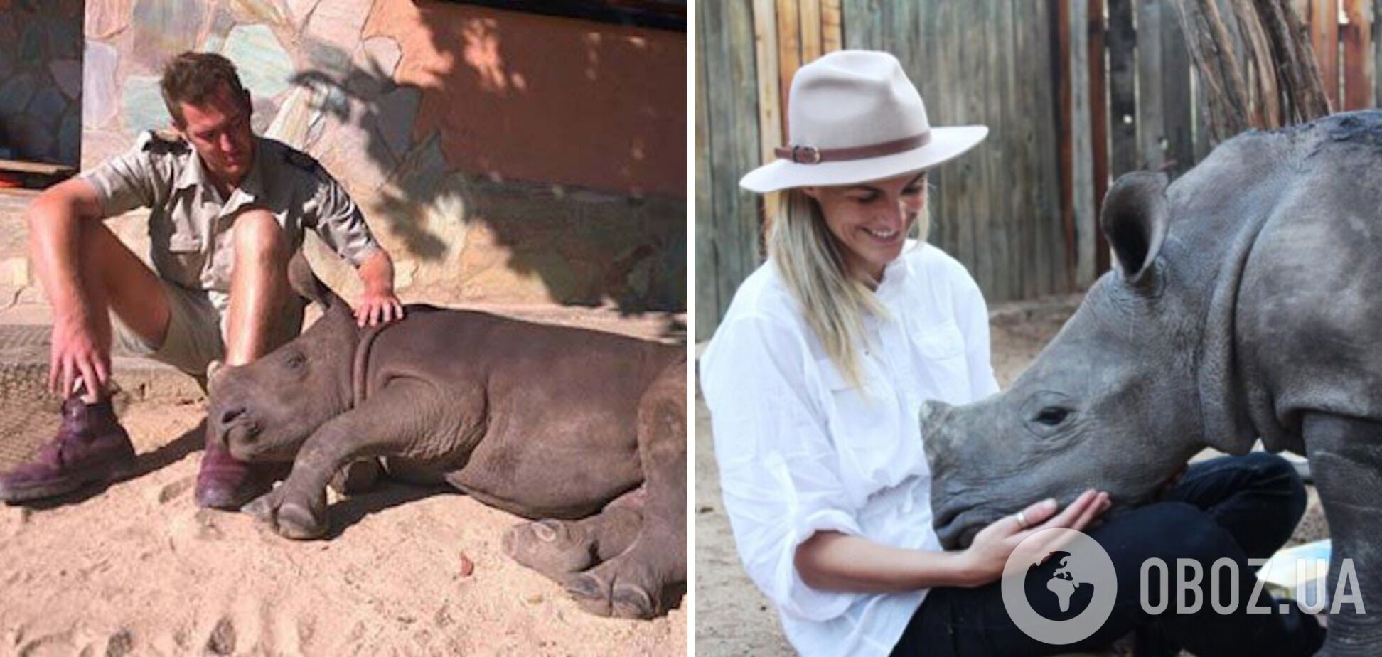 Волонтеры спасли носорога.