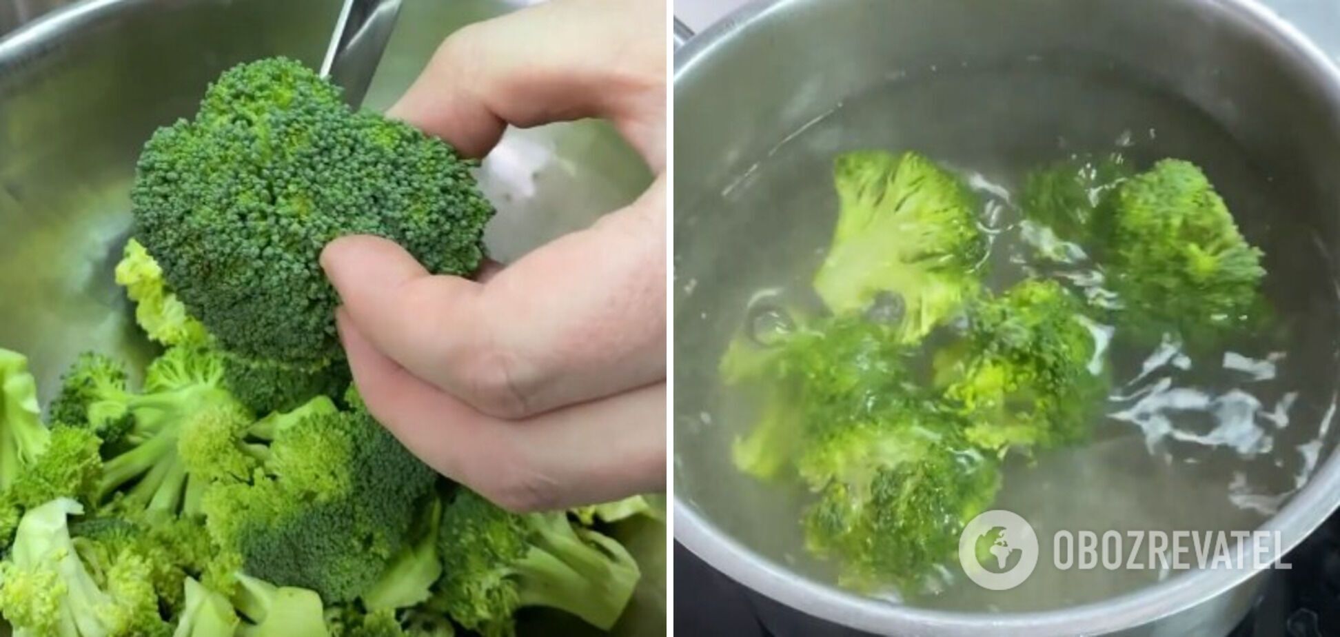 Технологія приготування броколі