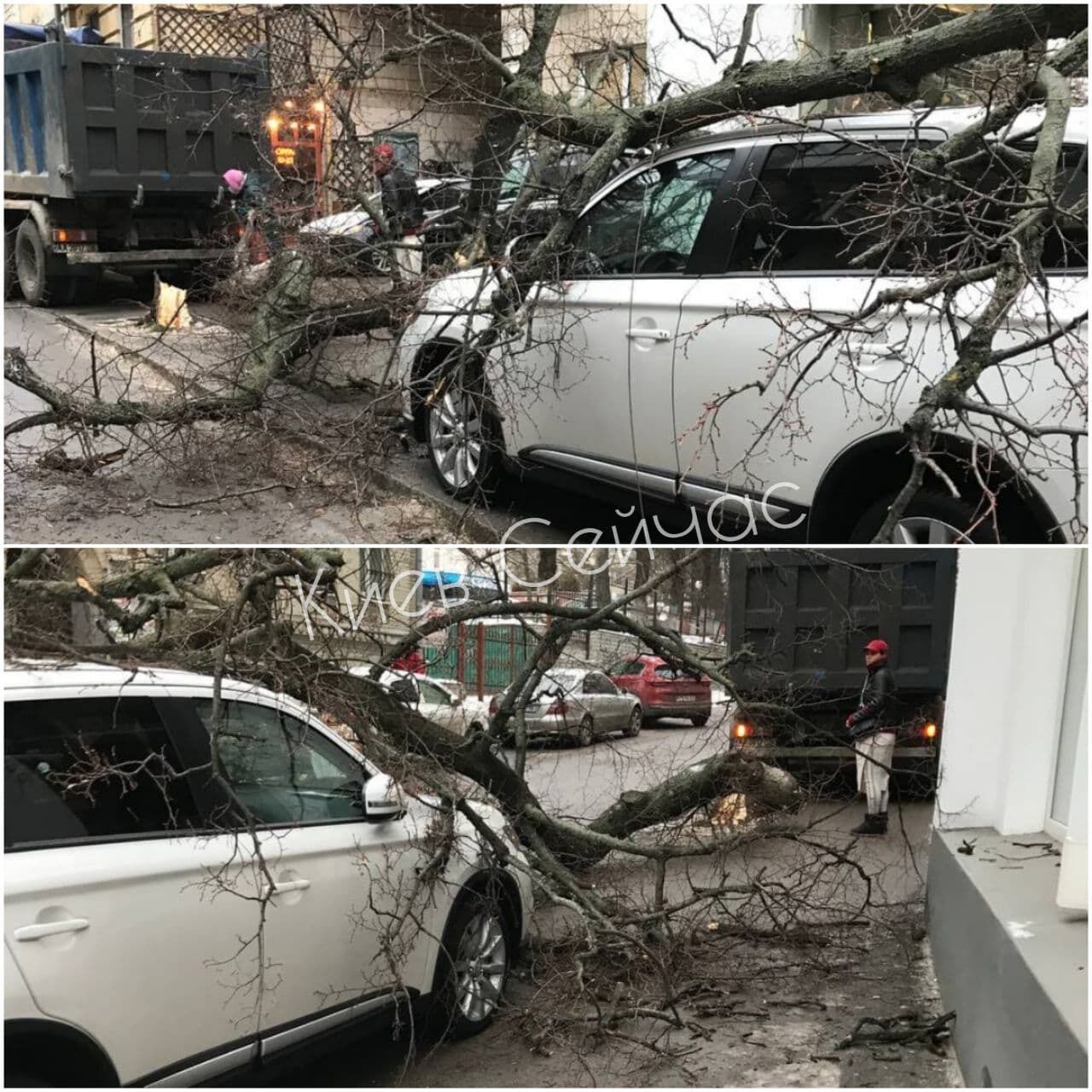 Нібито інцидент стався в Чеховському провулку.