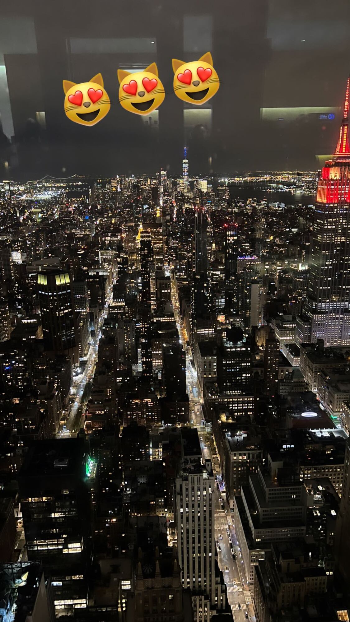 Вид Нью-Йорка с высоты.