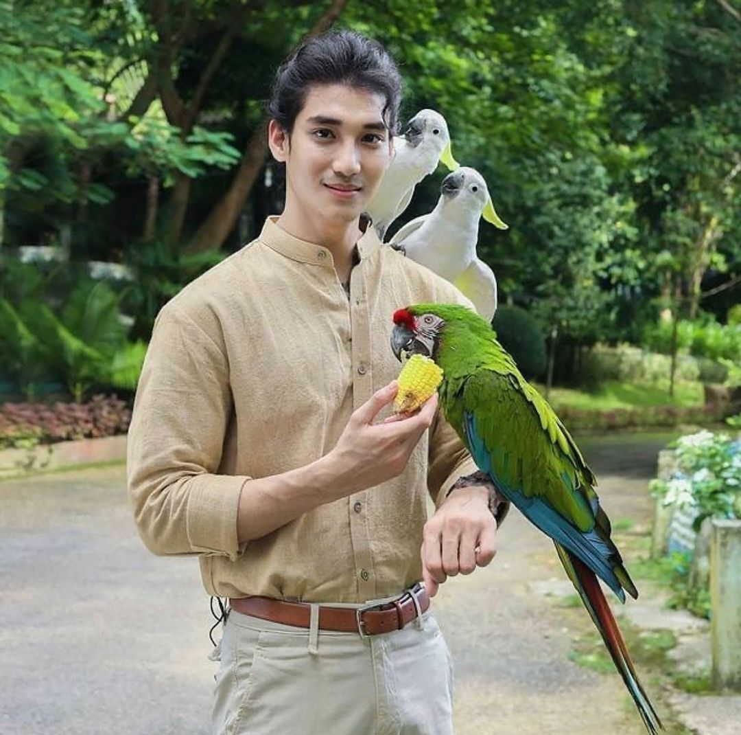 Такхон з папужками