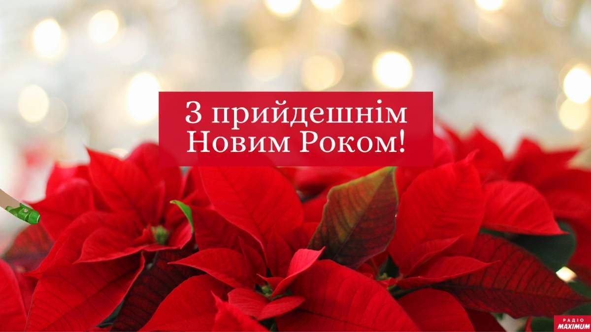 Видео открытки поздравления с нефтяниками и грузовиками. Смотреть фото Видео открытки поздравления с нефтяниками и грузовиками. Смотреть картинку Видео открытки поздравления с нефтяниками и грузовиками. Картинка про Видео открытки поздравления с нефтяниками и грузовиками. Фото Видео открытки поздравления с нефтяниками и грузовиками
