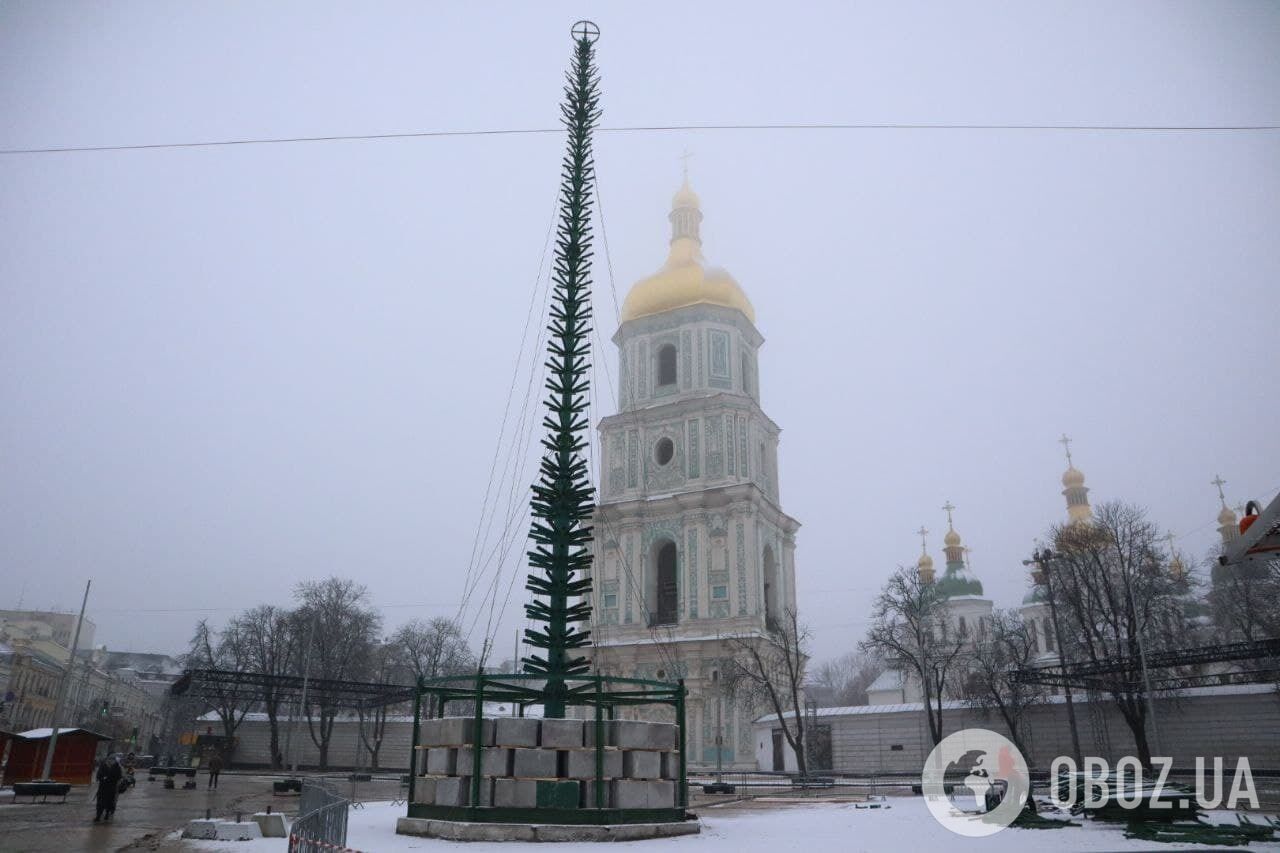 Ель установят на Софийской площади.