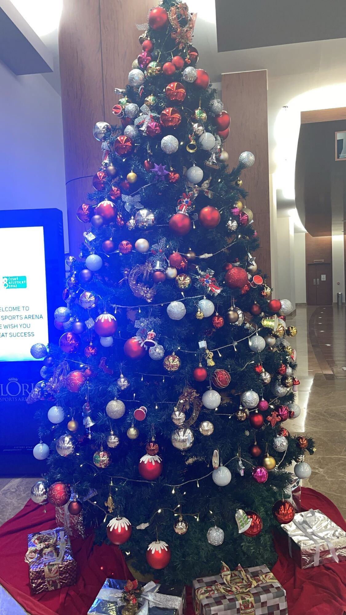 Рождественская елка в Турции.